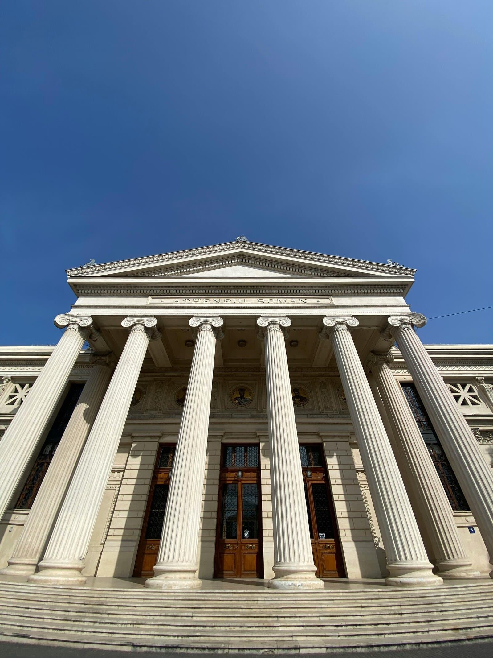 Servicii ZOOM Distribution